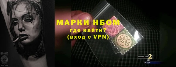 PSILOCYBIN Балахна