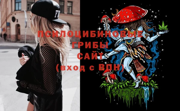 PSILOCYBIN Балахна