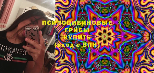 PSILOCYBIN Балахна